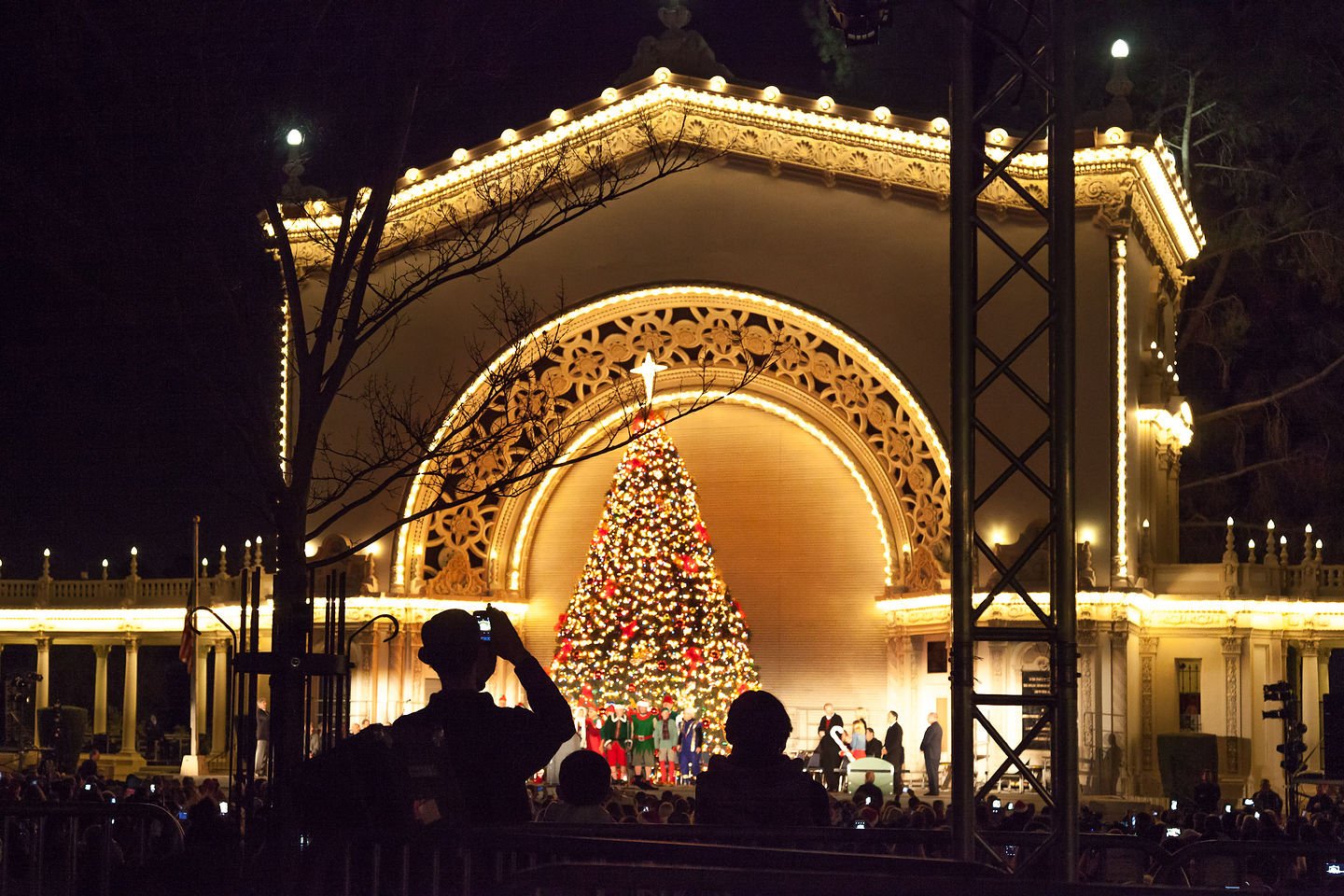 December Nights Tree Lighting December Nights Tree Lighting
