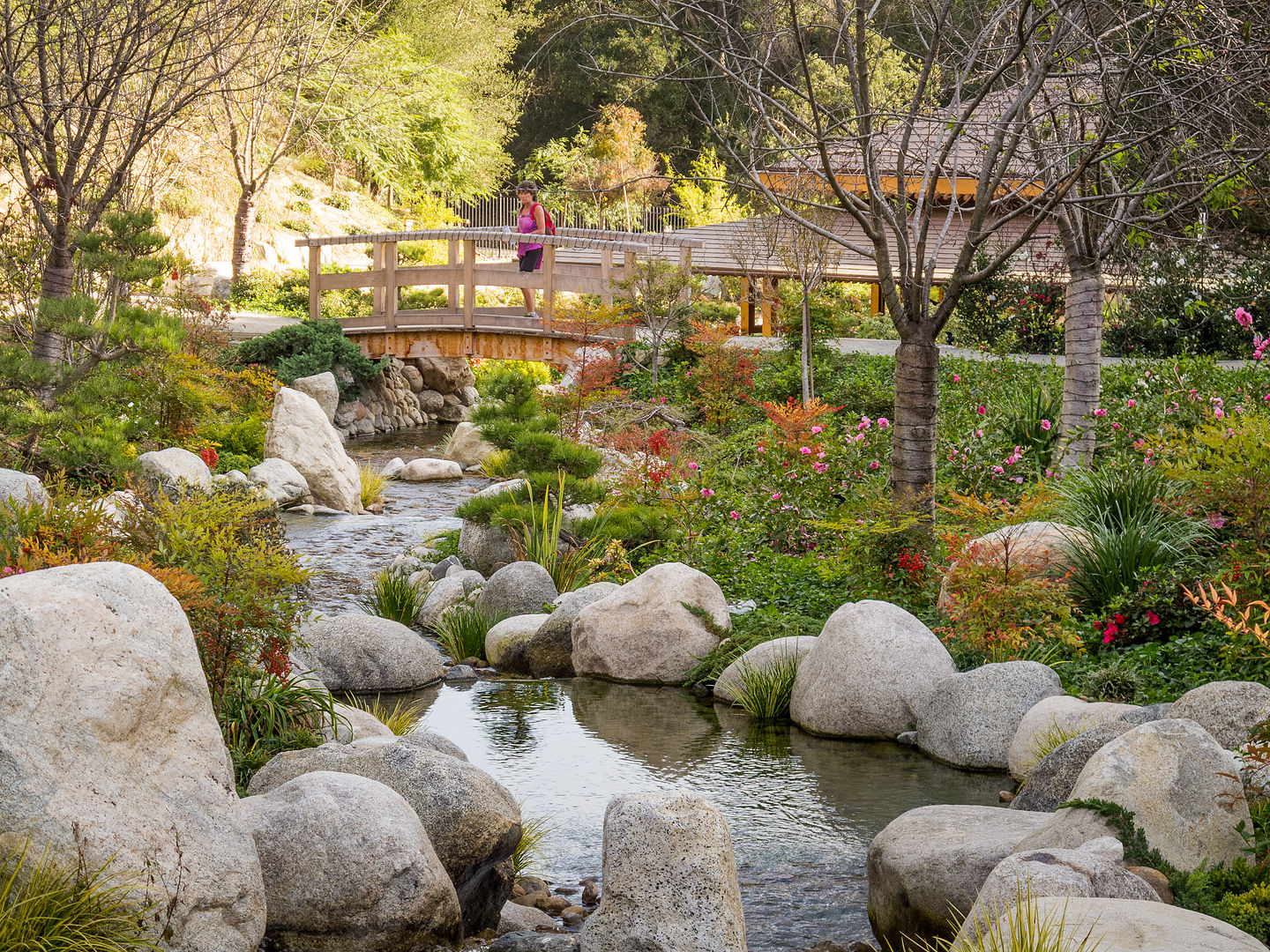 Japanese Friendship Garden Japanese Friendship Garden