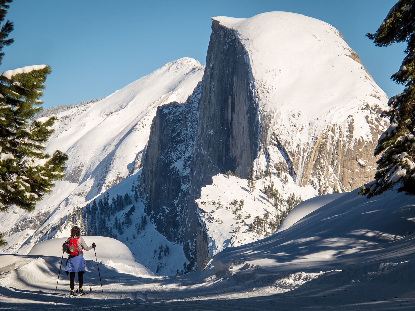 Lolo Finally Sees Half Dome