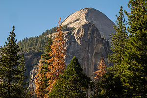 North Dome