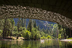 Reflections under bridge