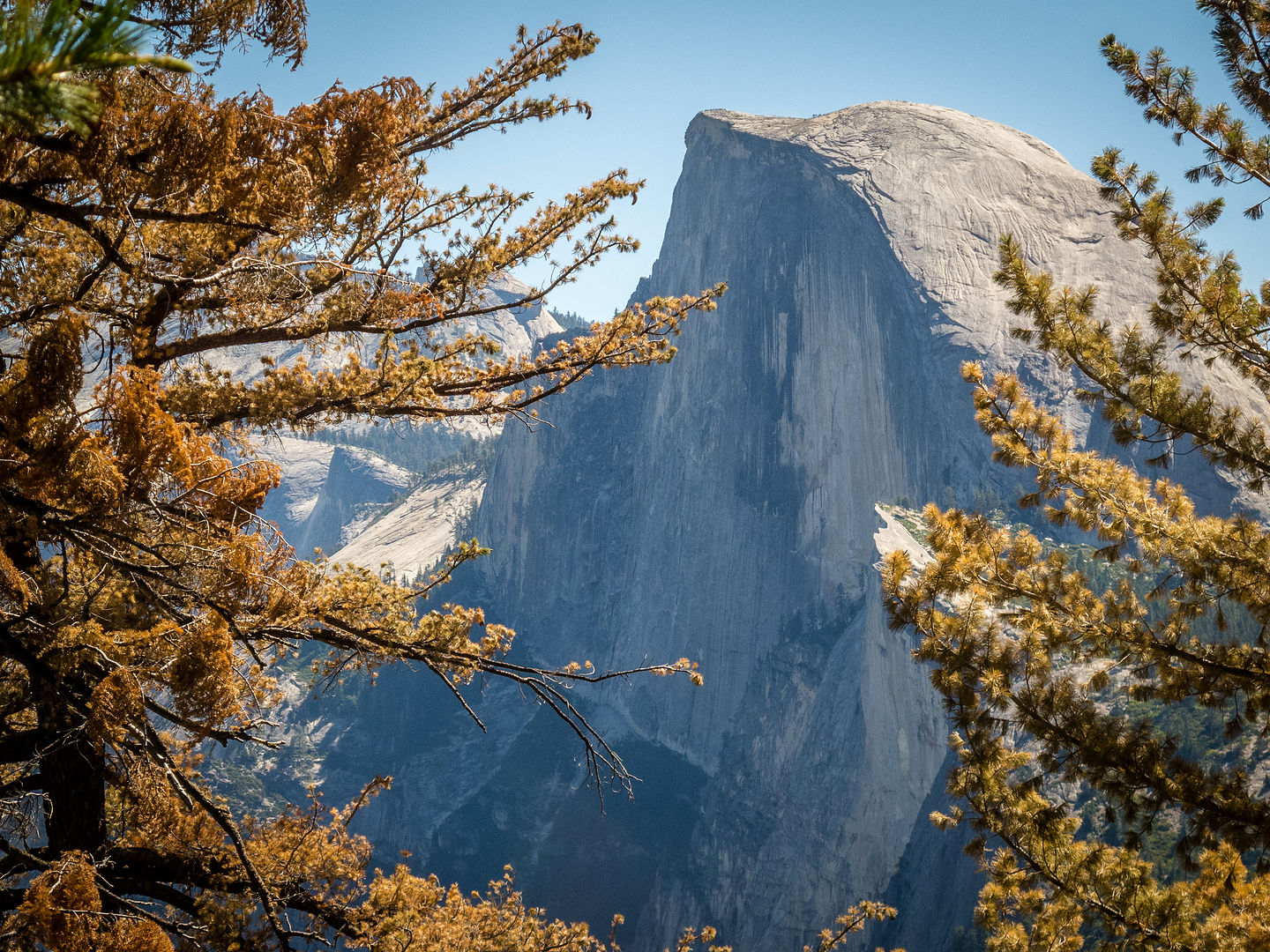 First Half Dome sighting on the Four Mile Trail