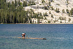 Tommy log rolling in Tenaya Lake