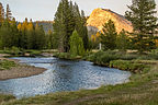 Tuolumne River flowing through the Meadow