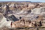 Lolo on the Blue Mesa Trail