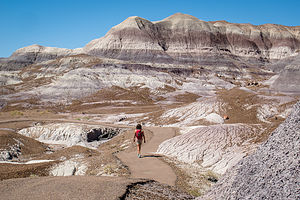 More Blue Mesa