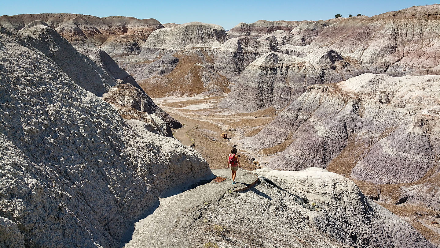 Blue Mesa Trail