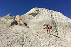 Herb photographing "Walker's Stump