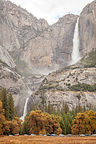 Raging Yosemite Falls (vertical)