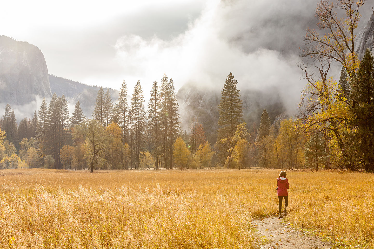 Lolo still wandering around meadow Lolo still wandering around meadow