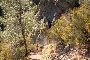 Juniper Canyon Trail