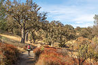 Juniper Canyon Trail