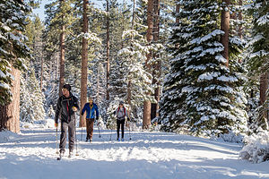 Trail to Fallen Leaf Lake