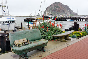 Street Art in Morro Bay