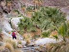 Sneaking up on Borrego Palms