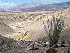 View of Fish Creek Wash