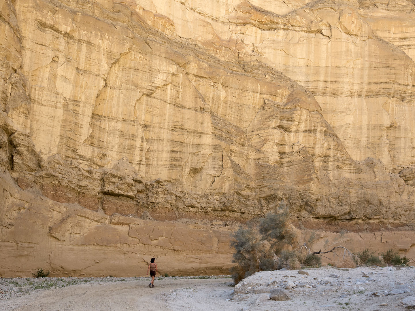 Sandstone Canyon