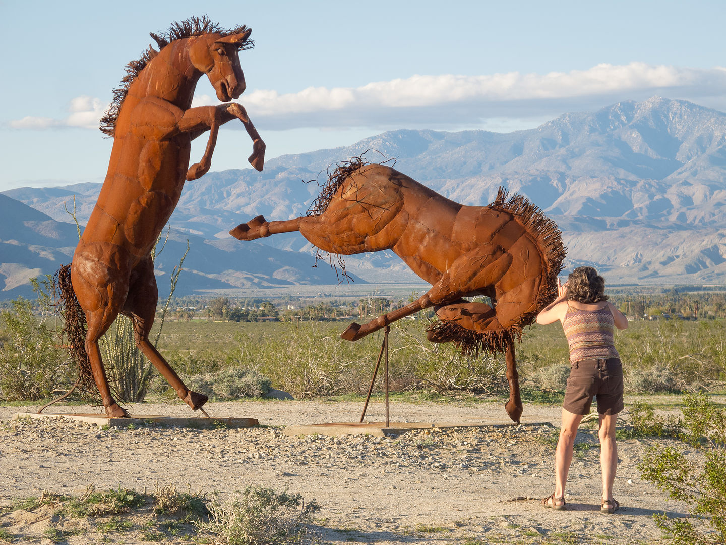 Galletta Meadows - Fighting Stallions Galletta Meadows - Fighting Stallions