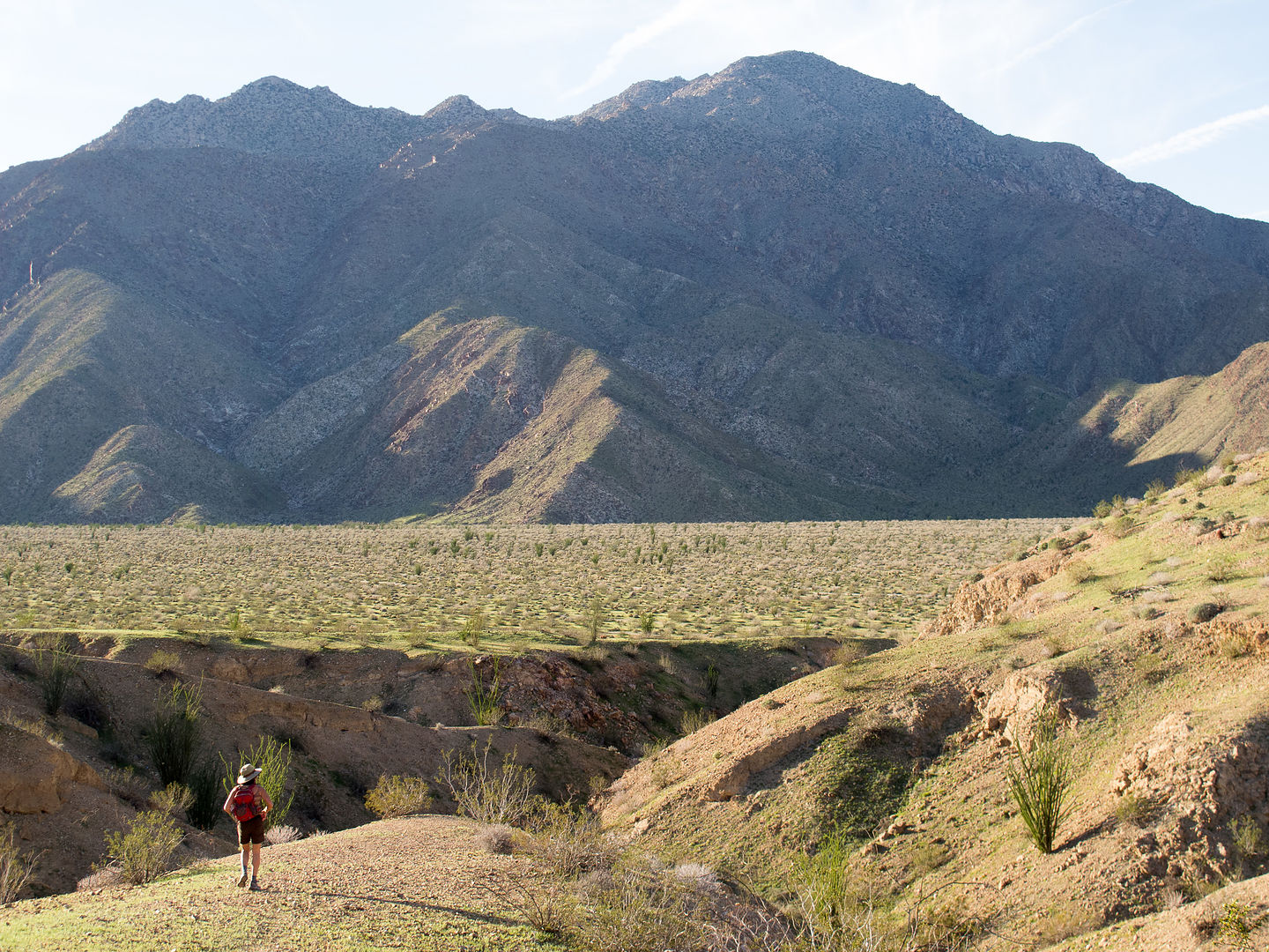 Alcoholic Pass Trail