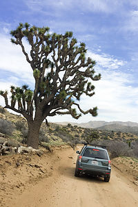 Off-roading to Eureka Peak