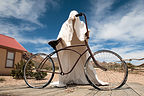 Ghost Rider of Rhyolite