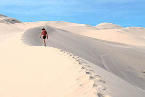 Lolo on Eureka Dunes