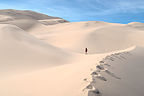 Little Lolo on the Dune