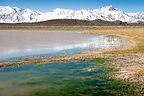 Long Valley Primitive Hot Springs