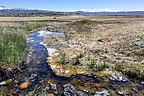 Alkali Lake area