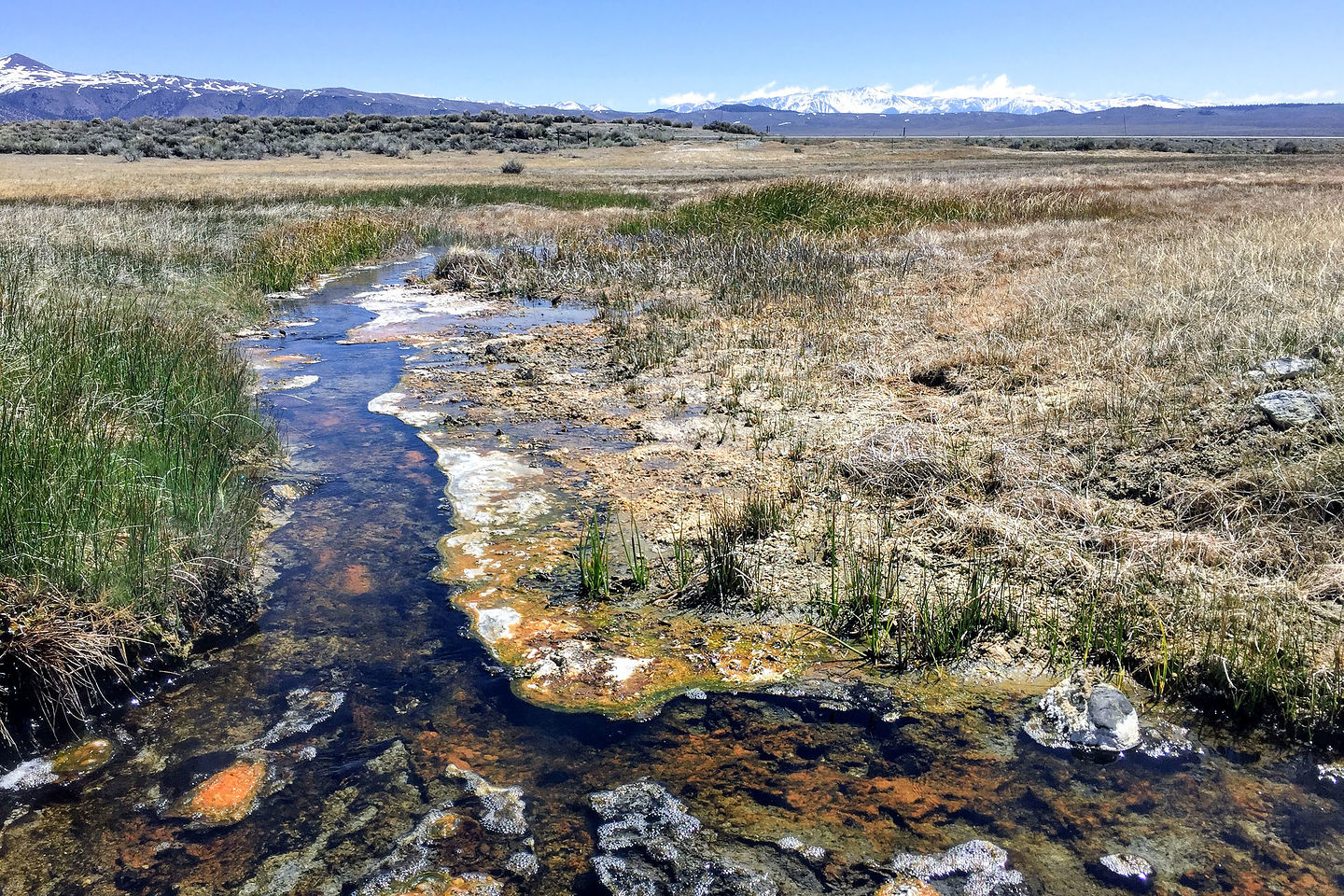 Alkali Lake area