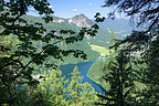 Glimpses of the Konigsee at the start of our Jenner hike