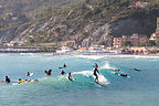 Surfers on Levanto Beach