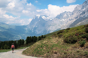 Hiking back to Grindelwald