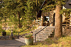 Lolo relaxing on Chief Hosa Lodge porch