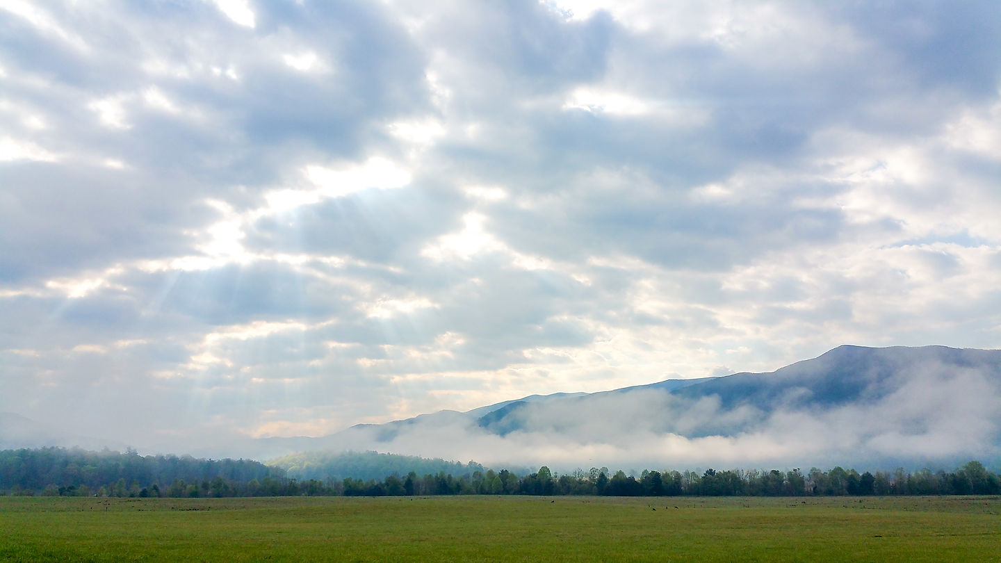 Cades Cove Meadow Cades Cove Meadow