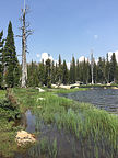 Polly Dome Lake