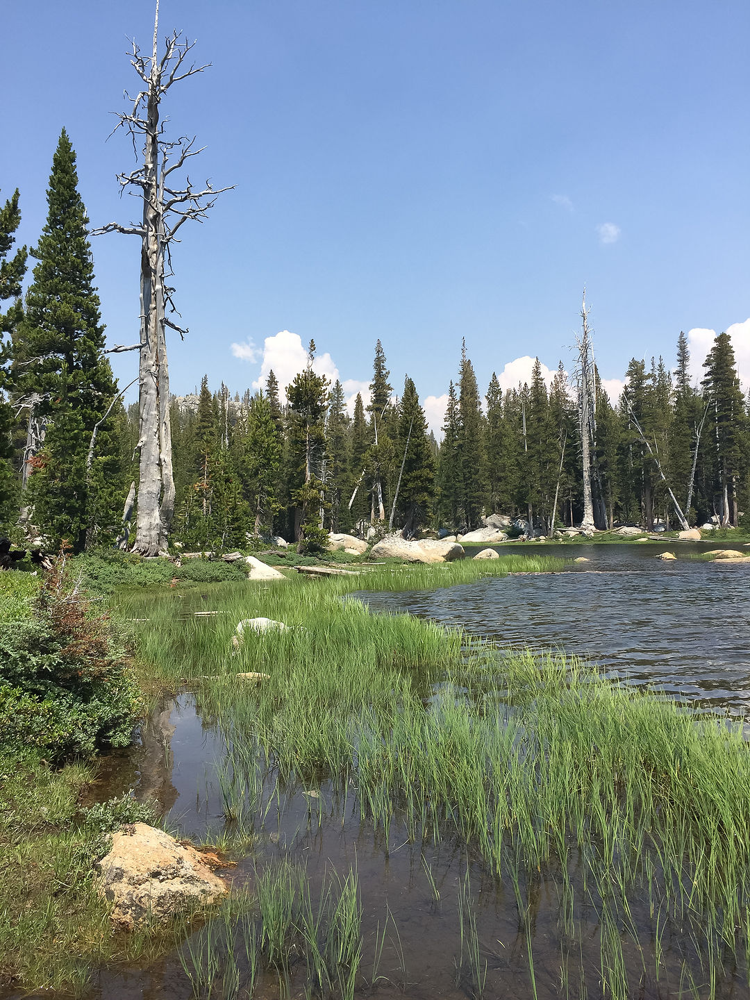 Polly Dome Lake Polly Dome Lake