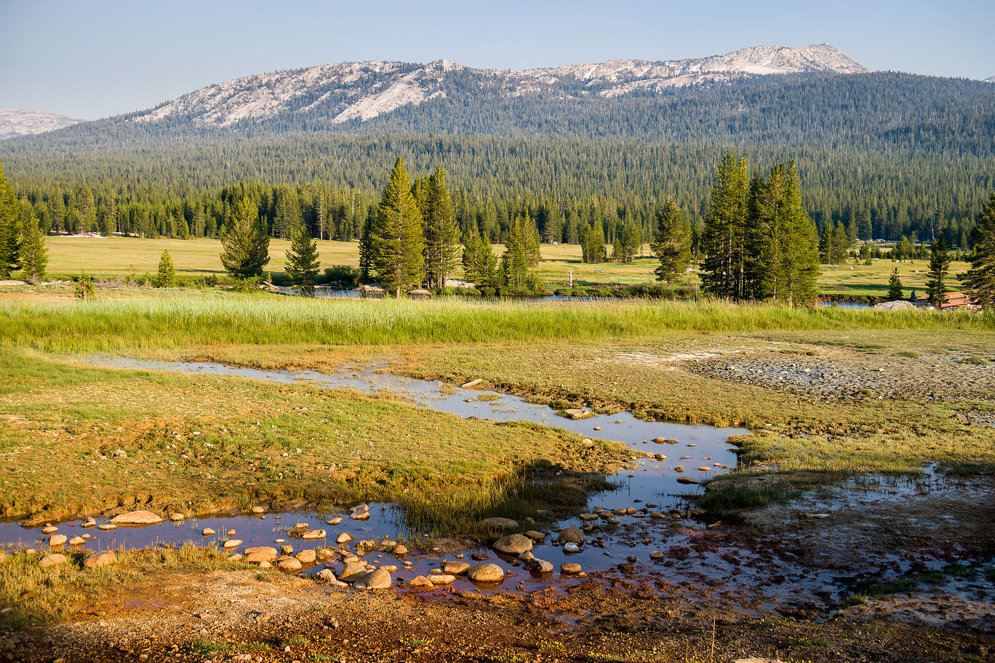 Tuolumne Meadows Tuolumne Meadows