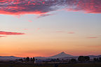 Mt. Jefferson from Solartown