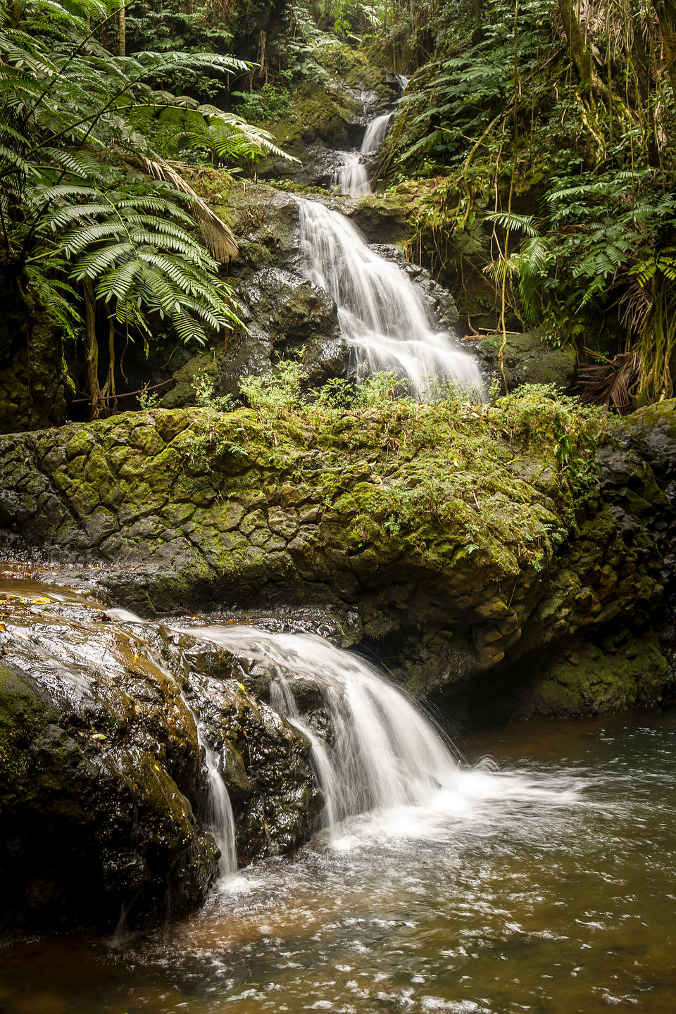 Waterfall in Hawaii Tropical Botanical Garden Waterfall in Hawaii Tropical Botanical Garden