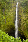 Akaka Falls