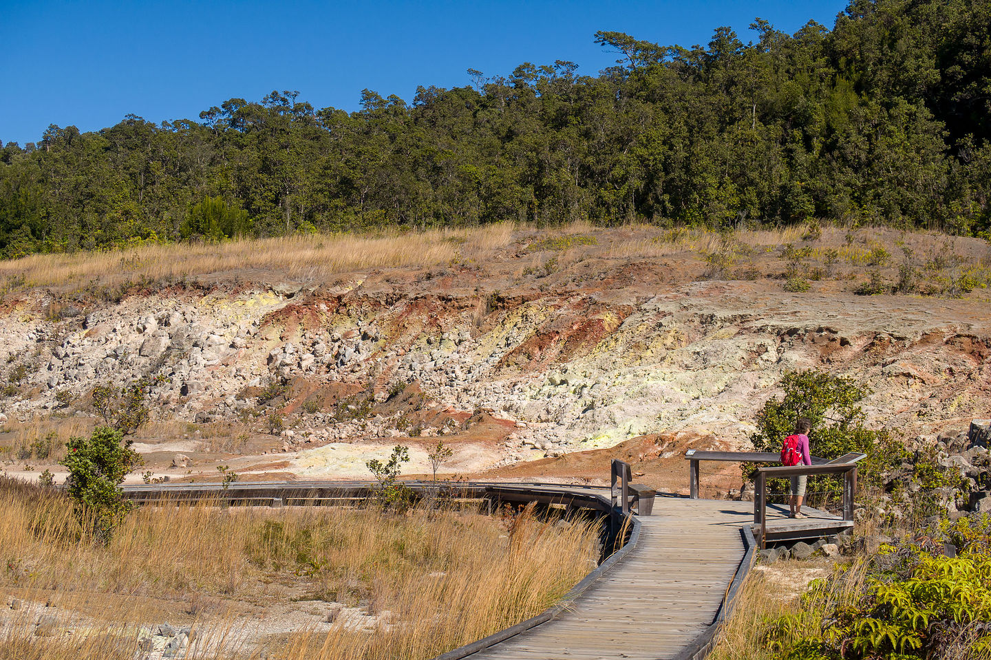 Sulphur Banks in Hawaii Volcano National Park