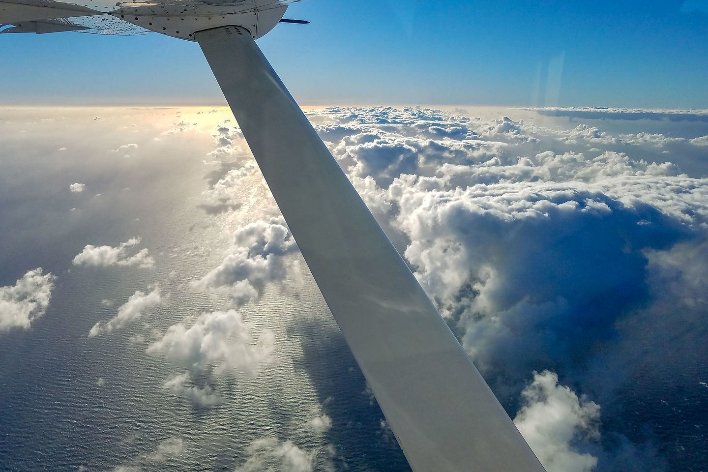 Flight to Maui