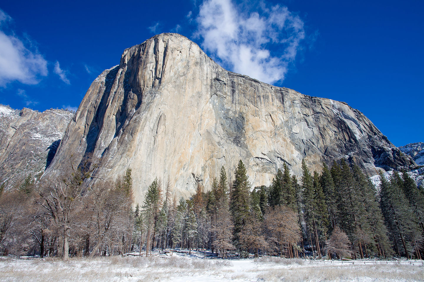 The Mighty El Cap The Mighty El Cap
