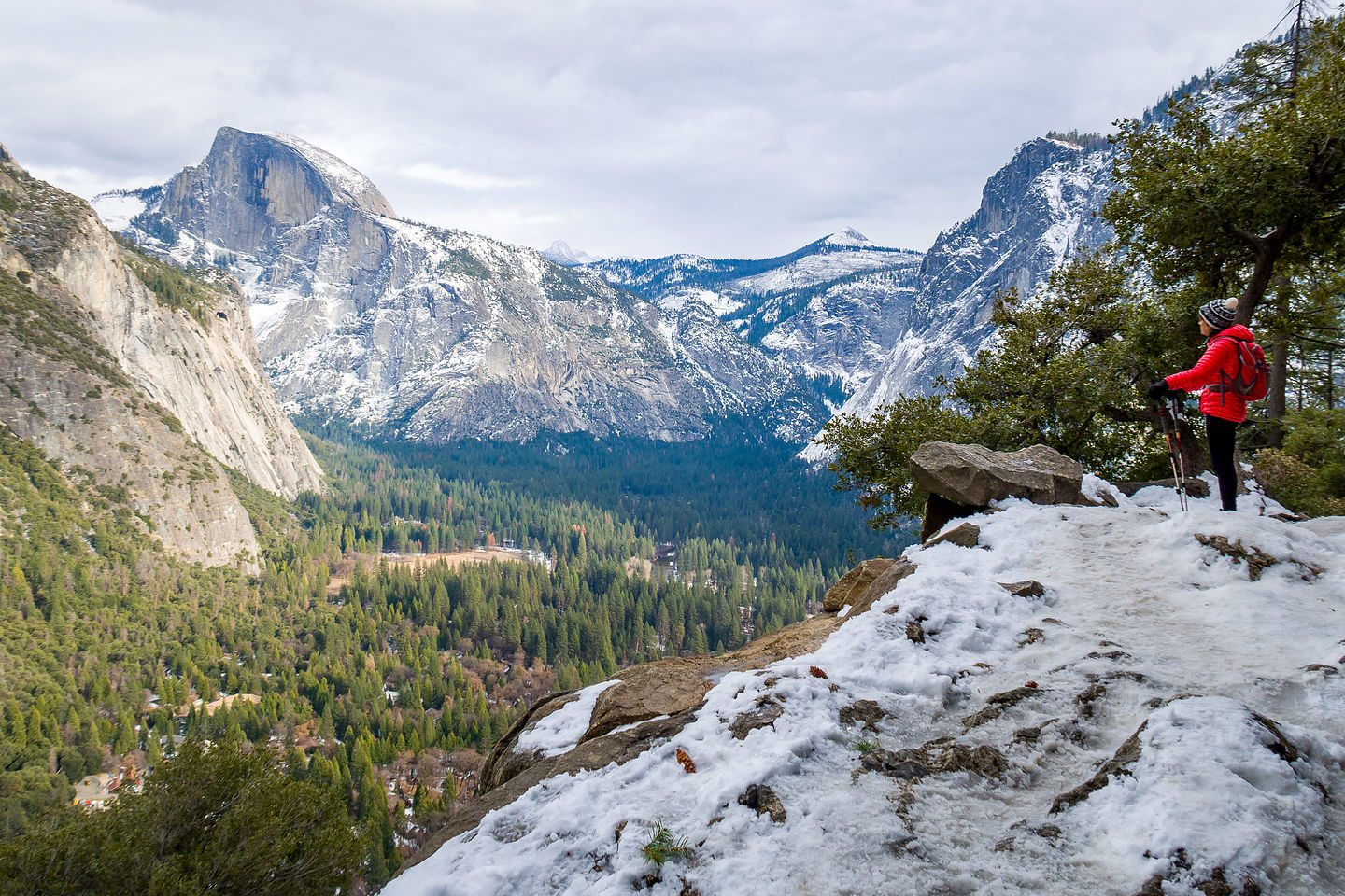 Lolo contemplating the awesomeness of Yosemite Lolo contemplating the awesomeness of Yosemite