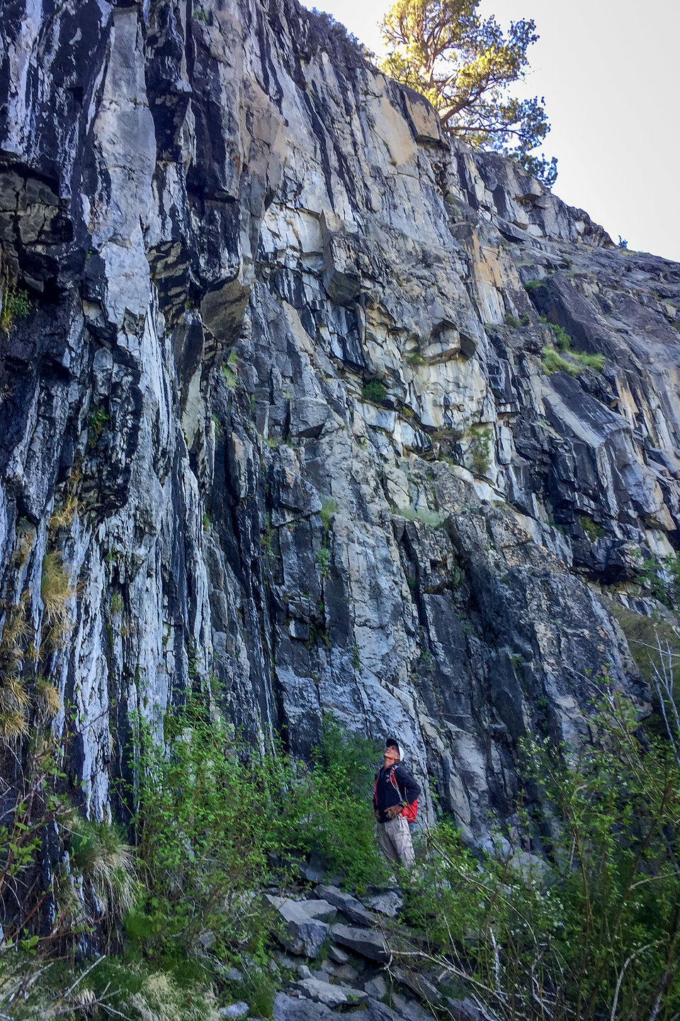 Herb contemplating Mayhem Cove climbing crag Herb contemplating Mayhem Cove climbing crag