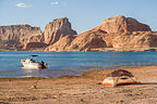 Our campsite in Gunsight Canyon