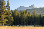 View of Unicorn Peak from the Meadow