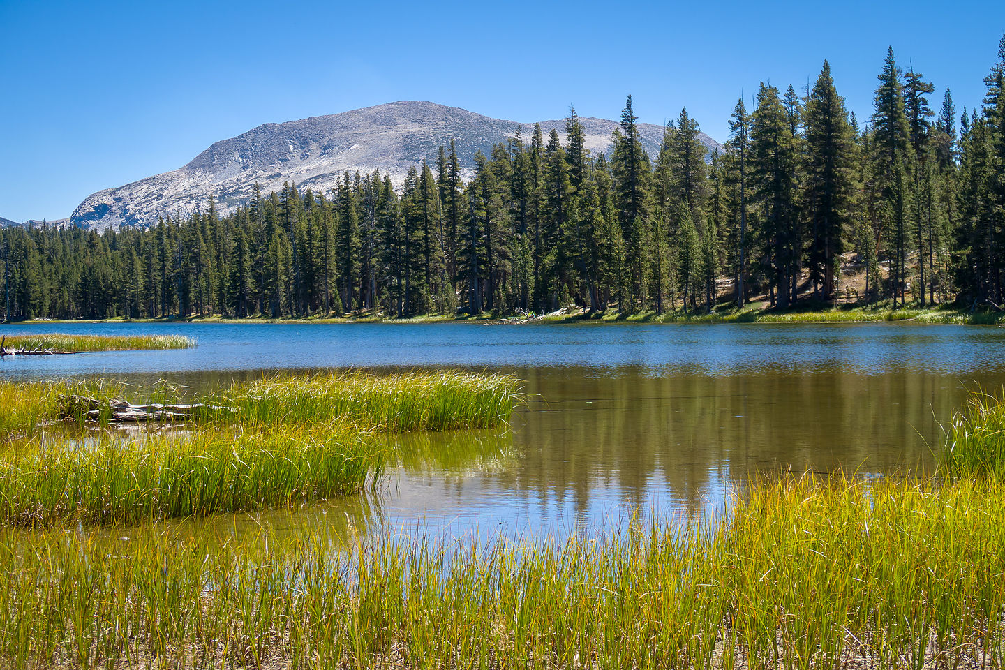Dog Lake Dog Lake