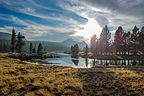 Lovely Tuolumne Meadows